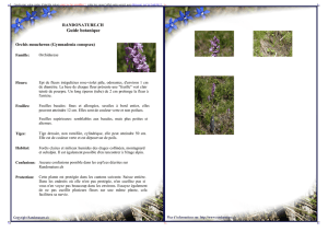 Guide botanique - Randonature.ch
