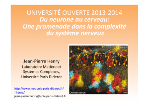 UNIVERSITÉ OUVERTE 2013-‐2014 Du neurone au cerveau: Une