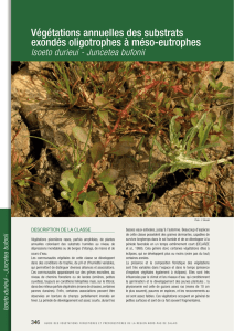 Guide des végétations forestières et préforestières p 346-355