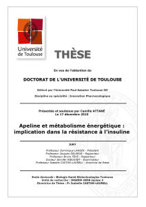 PDF - Université Paul Sabatier