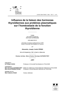 Influence de la liaison des hormones thyroïdiennes aux protéines