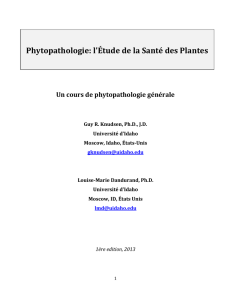 Phytopathologie: l`Étude de la Santé des Plantes