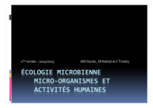 écologie microbienne micro-organismes et activités humaines