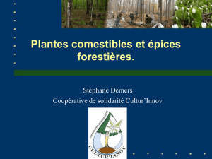 2- Stéphane Demers PFNL : plantes comestibles et épices forestières