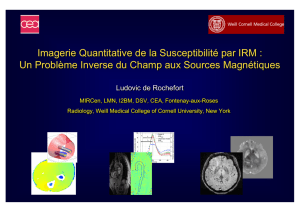 Imagerie Quantitative de la Susceptibilité par IRM