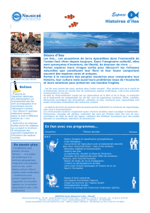 "Histoires d`îles" au format PDF