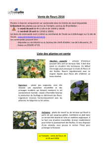 Présentation fleurs 2016x