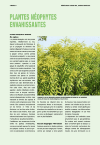 PLANTES NÉOPHYTES ENVAHISSANTES