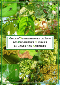 Guide d`Observation et de Suivi des Organismes Nuisibles En