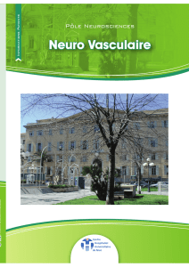 Neuro Vasculaire