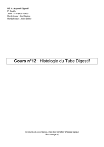 Cours n°12 : Histologie du Tube Digestif - L3 Bichat 2013-2014