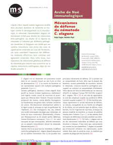 Mécanismes de défense du nématode C. elegans - iPubli