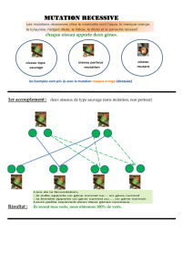 MUTATION RECESSIVE