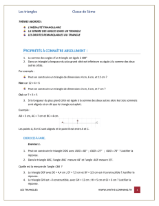 cours sur les triangles