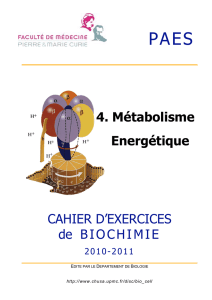 CAHIER D`EXERCICES de BIOCHIMIE 4. Métabolisme