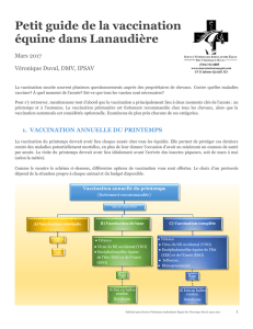 Petit guide de la vaccination équine dans Lanaudière