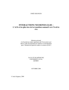 INTERACTIONS NEURONES-GLIE : L`ACh et les glies lors de la
