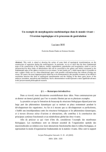 Luciano BOI, Un exemple de morphogenèse mathématique dans le