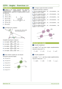 C5T4 – Angles – Exercices 1/3
