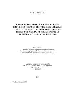 PDF(3,57Mo) - Université Laval