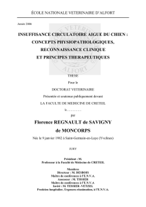 Florence REGNAULT de SAVIGNY de MONCORPS - Thèses