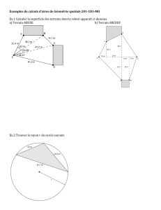 Exemples de calculs d`aires de Géométrie spatiale 201-1D3