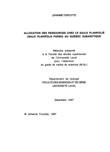 JOHANNE TüRCOTiE ALLOCATION DES RESSOURCES CHEZ LE