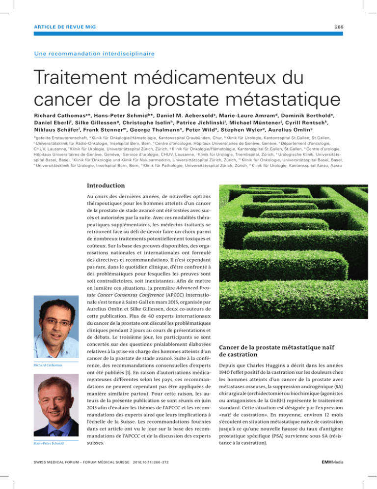 Traitement Médicamenteux Du Cancer De La Prostate Métastatique 7030