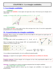 AG407cours_triangles semblables