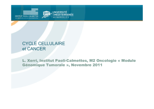 le cycle cellulaire - Master Pathologie Humaine