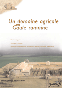 Un domaine agricole Gaule romaine
