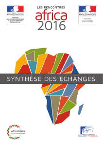 Synthèse des échanges - Les Rencontres Africa