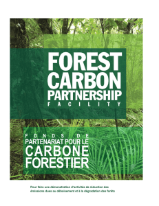 forestcarbonpartnership.org