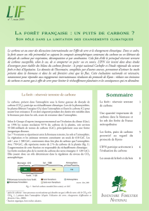 L`IF n°7 - La forêt française : un puits de carbone