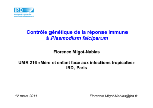 Contrôle génétique de la réponse immune à Plasmodium falciparum