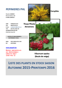 liste des plants en stock saison automne 2015