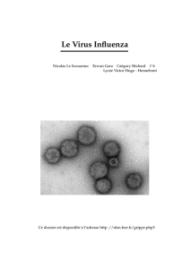 Le Virus Influenza - Nlsn `s site