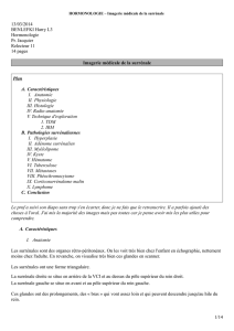 13/03/2014 BENLEFKI Harry L3 Hormonologie Pr. Jacquier