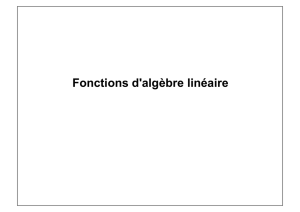 Fonctions d`algèbre linéaire - The IC Home Page is in:ic.epfl.ch