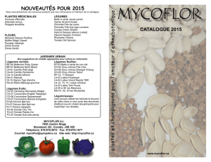 catalogue 2015
