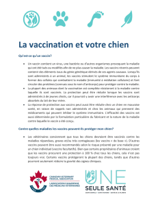 La vaccination et votre chien - Association canadienne des