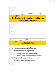 X- Quelques éléments de la biologie moléculaire des virus