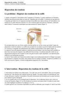 Réparation des tendons as PDF