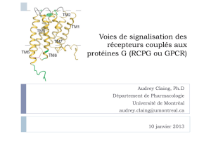 Voies de signalisation des récepteurs couplés aux protéines G