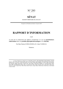 Le rapport au format pdf
