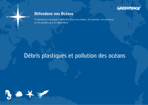 Débris plastiques et pollution des océans