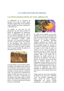 la pollinisation et les abeilles