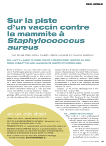 Staphylococccus aureus - Agri