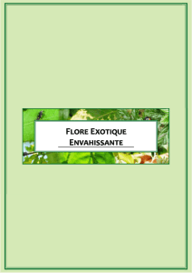 7-Flore (PDF, 3.36 Mo)