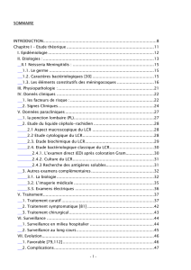 - 1 - SOMMAIRE INTRODUCTION.......................................................